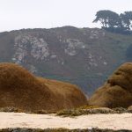 Granitküste (16)