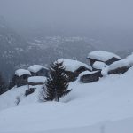 DSC00646