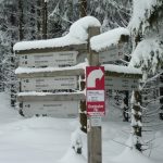 Wintersportarena (21)