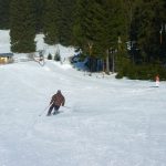 Ski alpin (14)