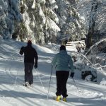 Skilanglauf Sauerland (12)