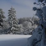 Skilanglauf Sauerland (13)