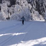 Skilanglauf Sauerland (2)