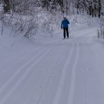 Skilanglauf Sauerland (4)