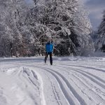 Skilanglauf Sauerland (5)