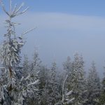 Skilanglauf Sauerland (7)