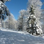 Skilanglauf Sauerland (8)